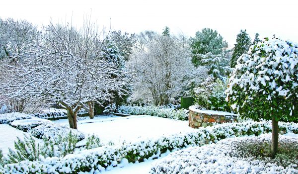 5 rad pro zimní zahradu
