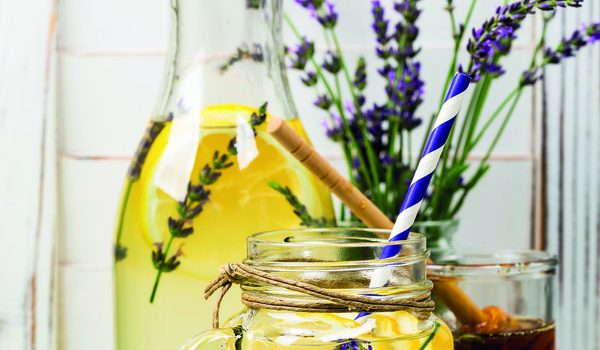 Medová limonáda s levandulí