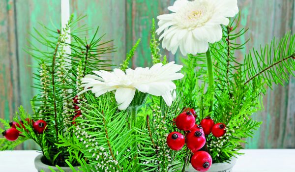 Slavnostní aranžmá v květináčku