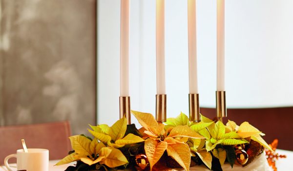 Svícen s vánoční hvězdou