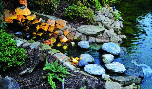 Osvětlení jezírka