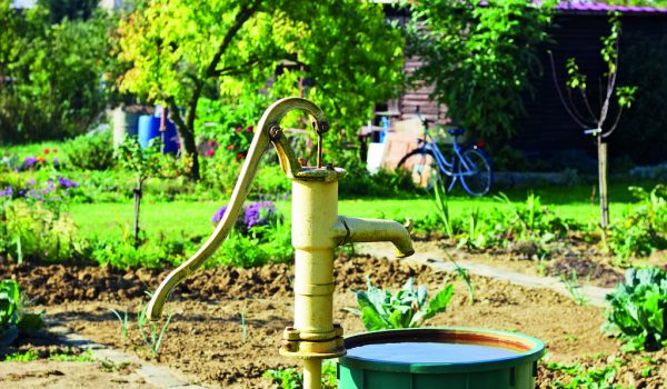 9 tipů pro lepší zalévání