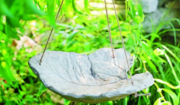 Napajedlo pro ptáky