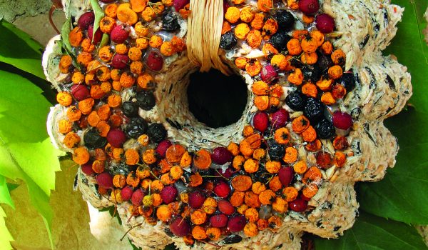 Bábovky pro ptáčky