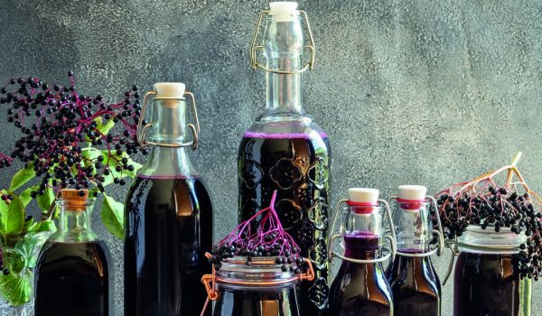 Bylinkový kalendář – září