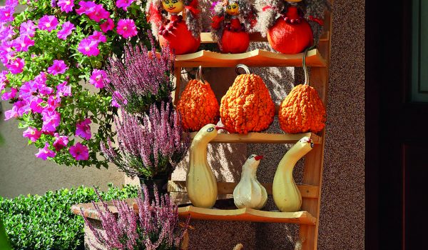 Zaujalo nás – podzimní inspirace