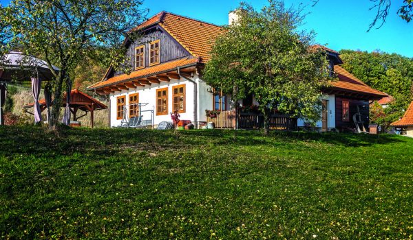 Kovbojové v důchodu