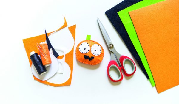 Veselé tvoření z plsti