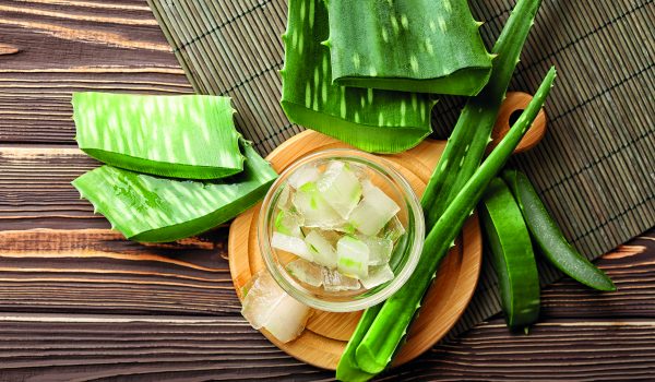 Blahodárná aloe vera