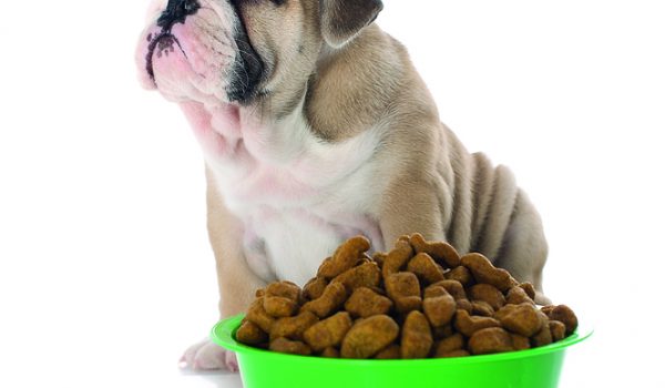 5 chyb při skladování granulí