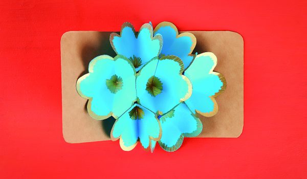 Trojrozměrné květinové přáníčko