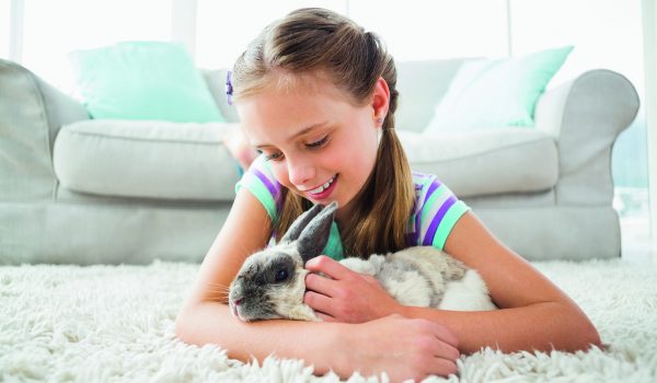 Králík jako domácí mazlíček