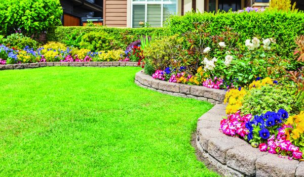 Krásný trávník od jara do zimy