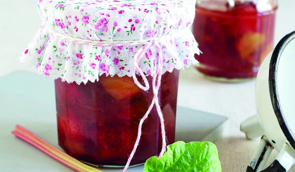 Posilující rebarbora