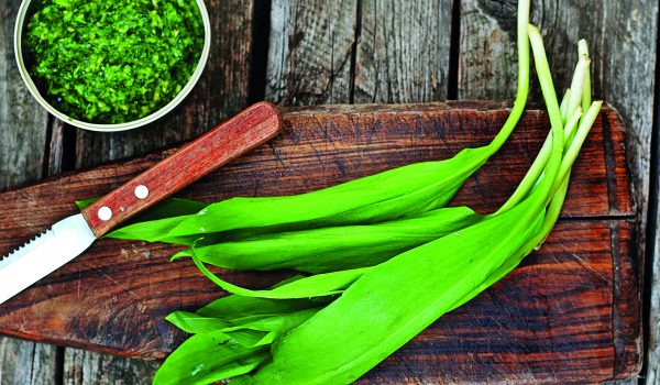 Přírodní pomocníci proti únavě