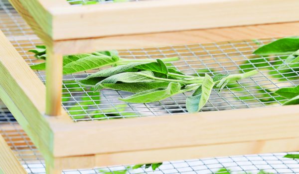 Letní sušička na bylinky