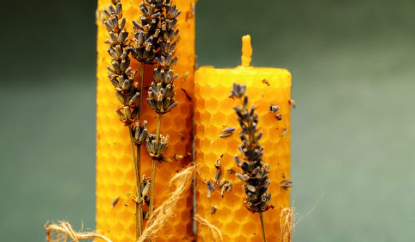 Svíčky s levandulí