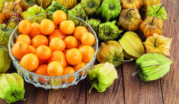 Mochyně – zelenina s chutí ovoce