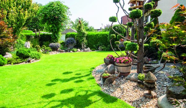 Horké léto v barvě vějířovky