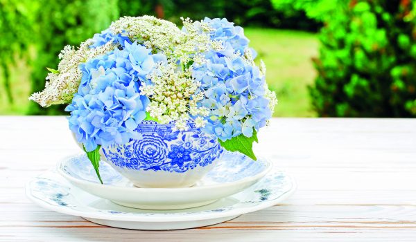 Aranžmá s modrou hortenzií