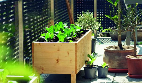 Zaujalo nás – zahrada na balkoně