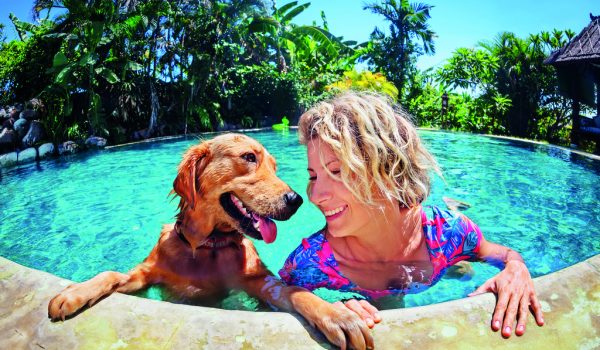 Pozor na přehřátí