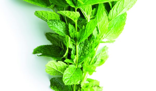 Přírodní pomocníci pro dobré trávení