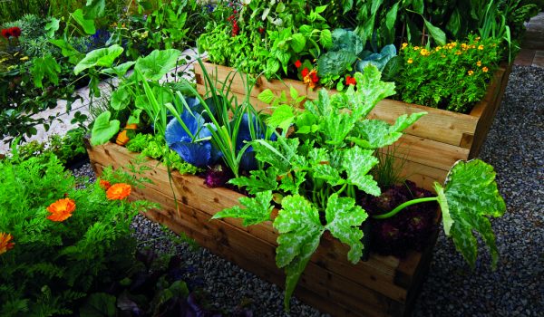 Vysoké záhony pro pohodlné pěstování