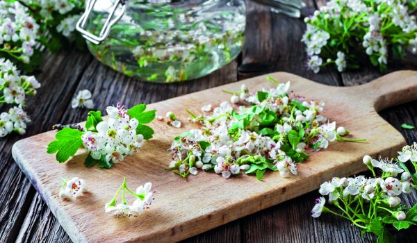 Přírodní pomocníci pro správný tlak