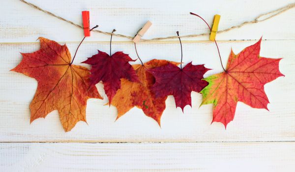 Listy jako inspirace