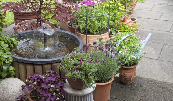 Jezírko na terase? Proč ne!