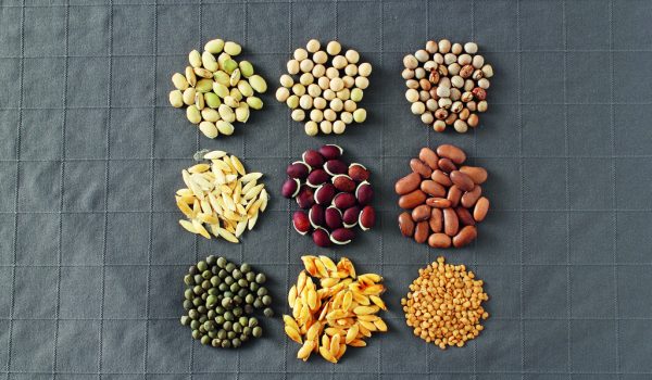 Jak ošetřit semena před výsevem?