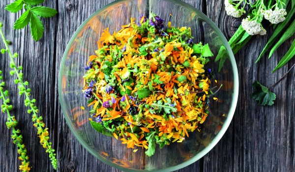 Přírodní pomocníci pro žlučník a játra