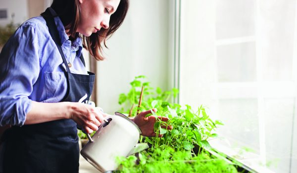 Zaujalo nás – ekologická kuchyně