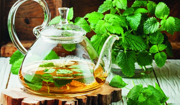 Bylinky pro dobrou náladu