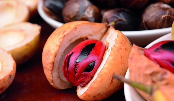 Vzpomínka na vůně zimy