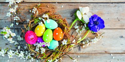 Velikonoční hnízda