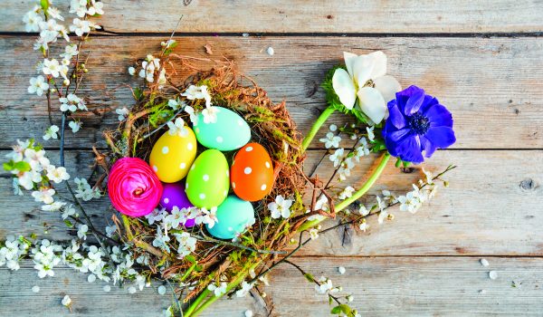 Velikonoční hnízda