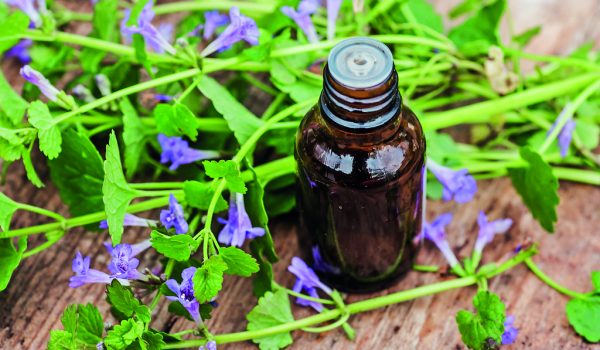 Popenec do lékárny i jarní kuchyně