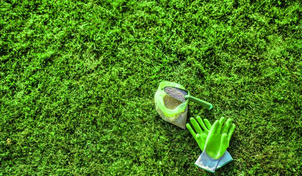 10 tipů pro dokonalý trávník