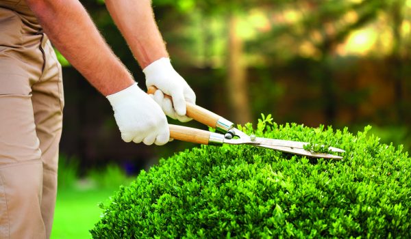 Zahradní nářadí, bez kterého se neobejdete