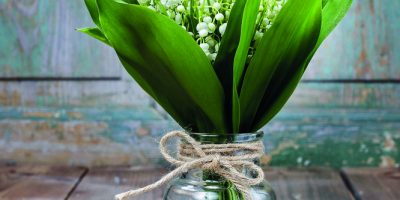 Prostá kytička konvalinek