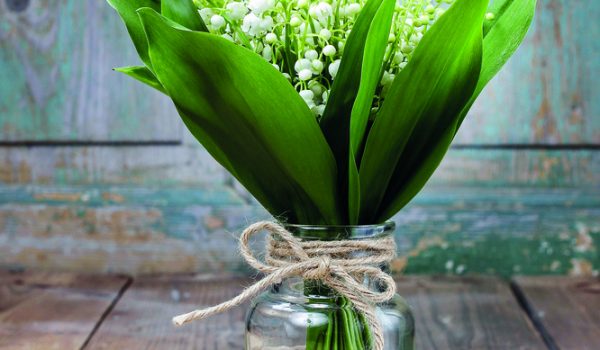 Prostá kytička konvalinek