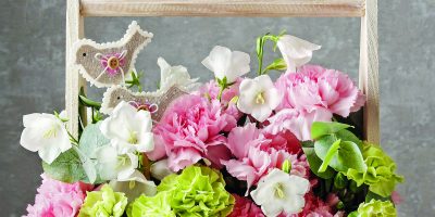 Aranžmá v přepravce