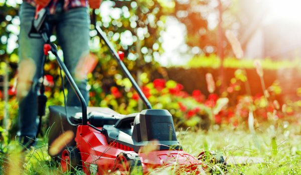 Nejlepší sekačka pro váš trávník