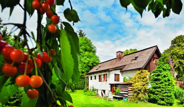 Tři holky v chalupě