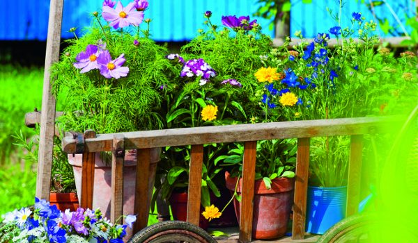 Krásy babího léta