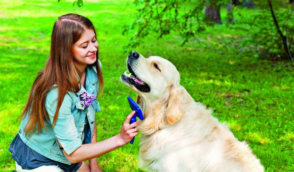 Psí srst potřebuje péči