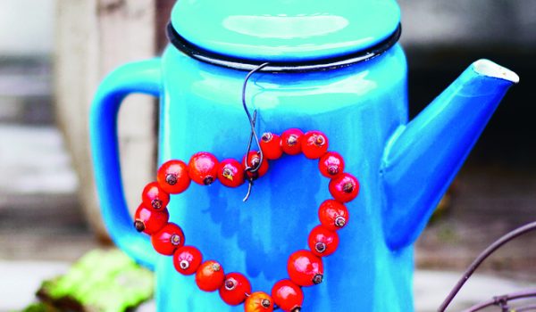 Šípkové srdíčko a jiné „přírodní“ nápady