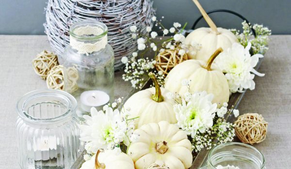 Podnos s dýněmi Baby Boo